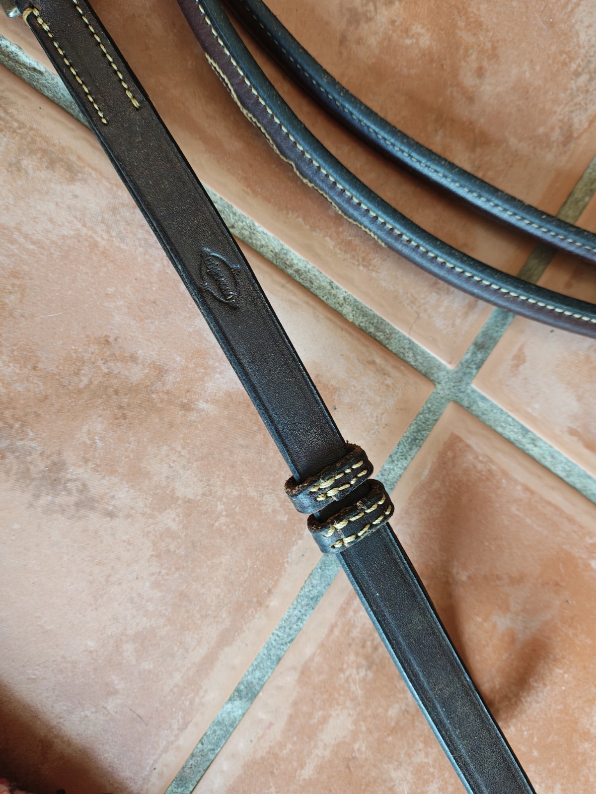 Edgewood Fancy Stitched Raised Standing Martingale Oversized New MSRP $325