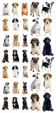Paper House Decorative Stickers-Dogs - 6 Pack