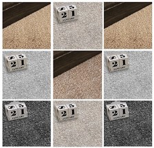 Twist Pile Carpet | 4m Wide | 12mm Thick Felt Backed | 9 Colours From £8 per m2
