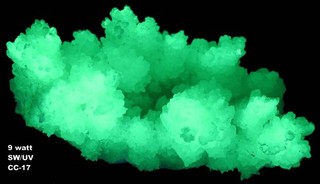 Super bright SW/LW UV "Cave Calcite"aka Aragonite from Mina Potosi Mexico 17