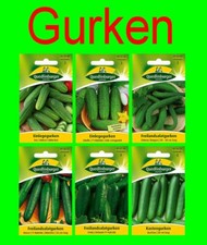 Gurken  F1 Samen Sortiment bitterstofffrei weiblich Salatgurke Freiland Saatgut