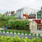 Picture 5 of 7