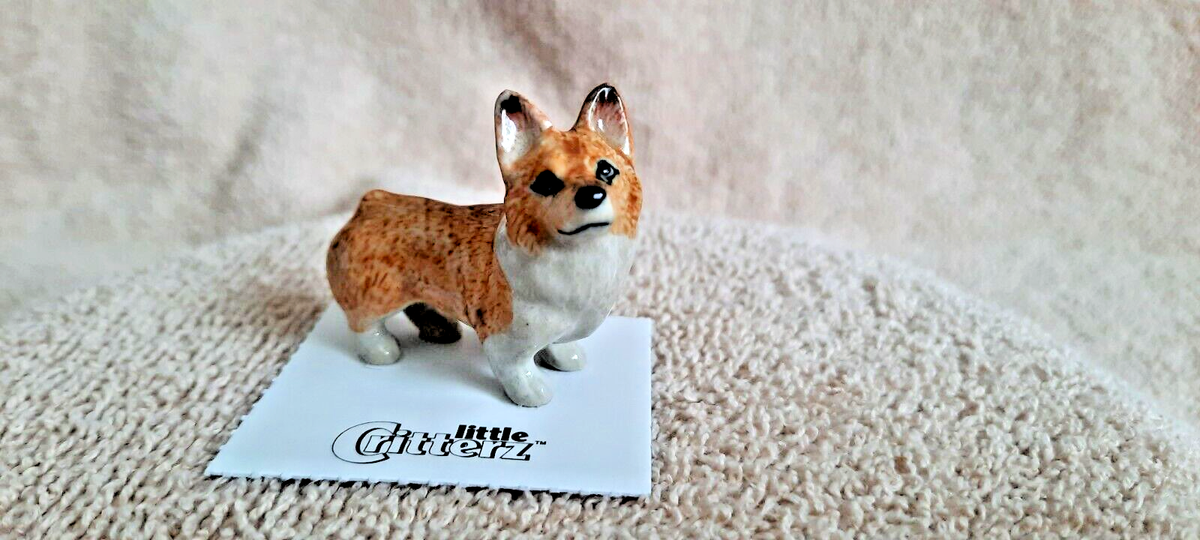 In India Baby Corgi Price LITTLE CRITTERZ Dog Corgi Pembroke