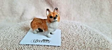 LITTLE CRITTERZ Dog Corgi Pembroke Welsh "Sasha" Miniature Figurine New LC949