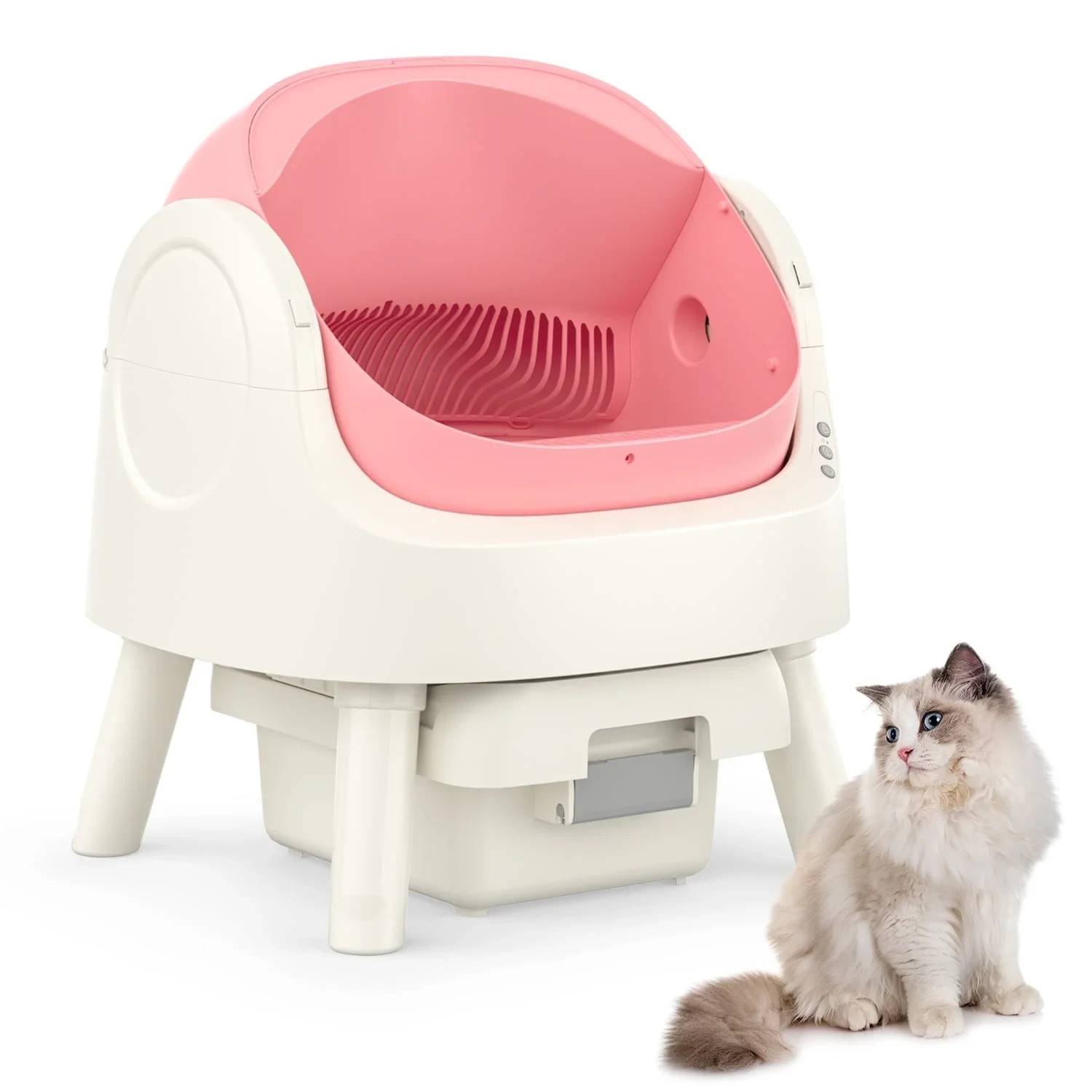 For Multiple Cats With Trash Bags And  Mat