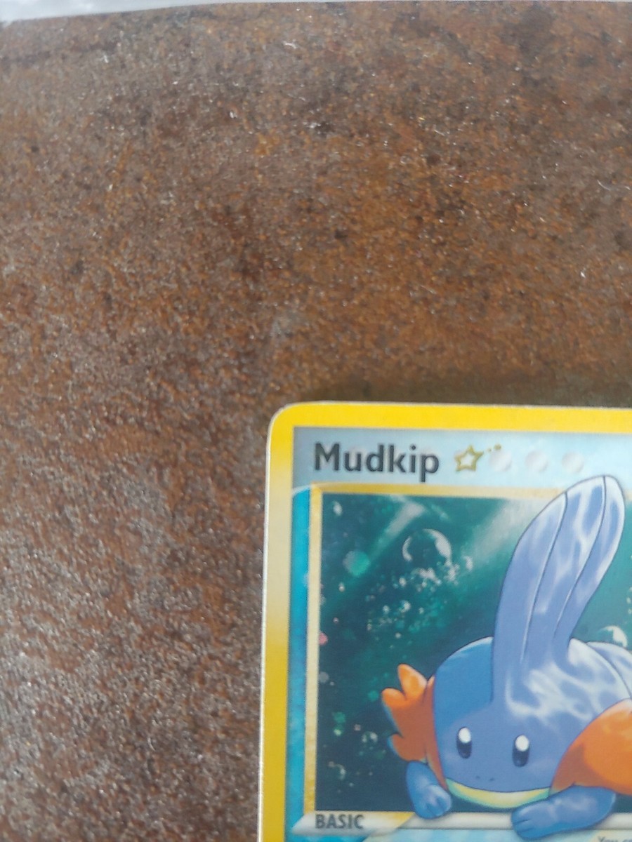 ミズゴロウ R団の逆襲 psa7 ゴールドスター ⭐︎ mudkip star Goldstar Mudkip | eBay