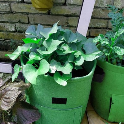 5-30 X Grow Bag Round Pflanzsäcke Stofftopf Mit Henkeln Pflanztasche 26/38 L DHL