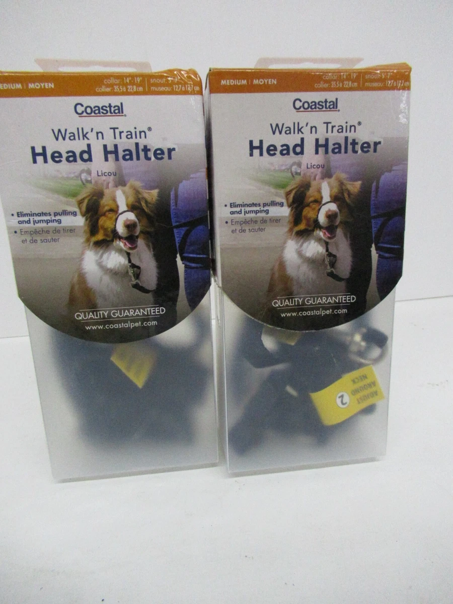 2x Walk'n Train Head Halter Dog MEDIUM BLK Coastal Pet | eBay