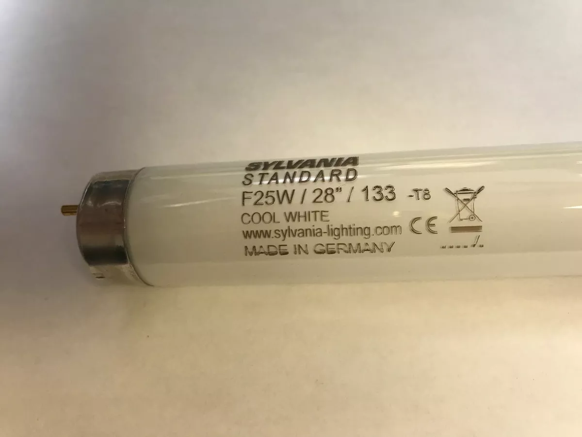 Cool white 2024 fluorescent lamp