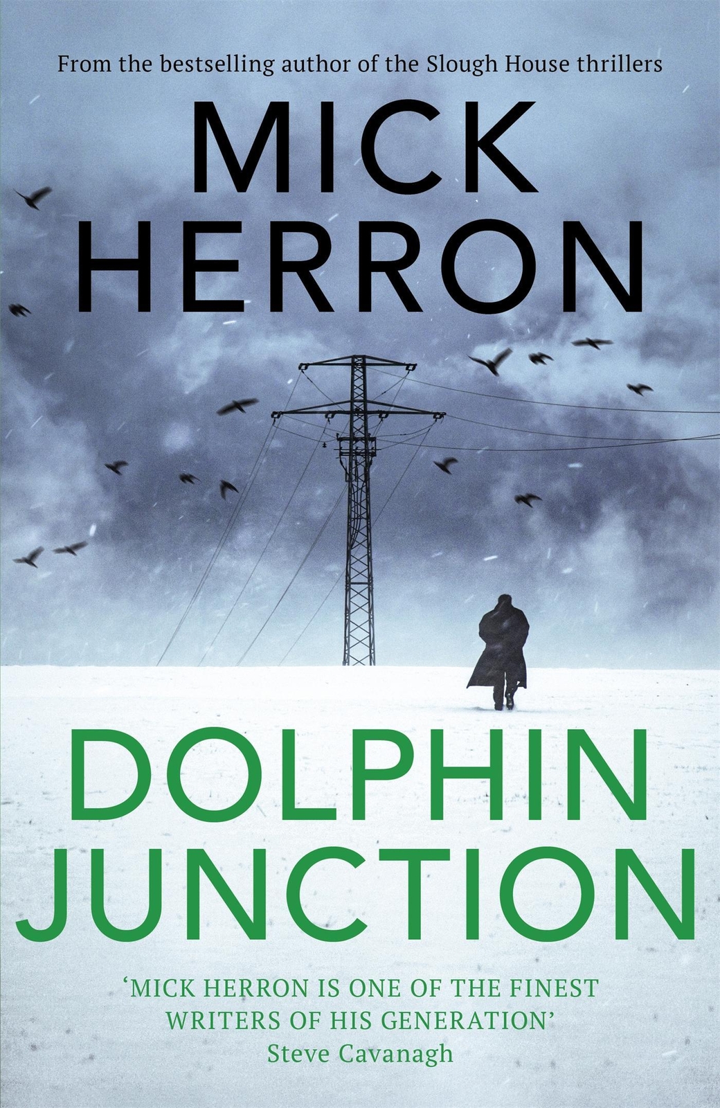 Thumbnail - Dolphin Junction, Mick Herron