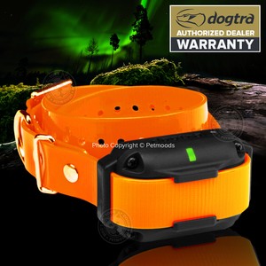 dogtra edge rt collar