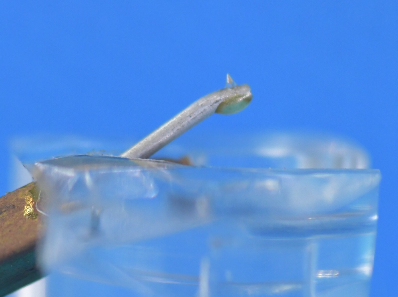 GRACE stylus exchange needle 3 In Excellent Condition