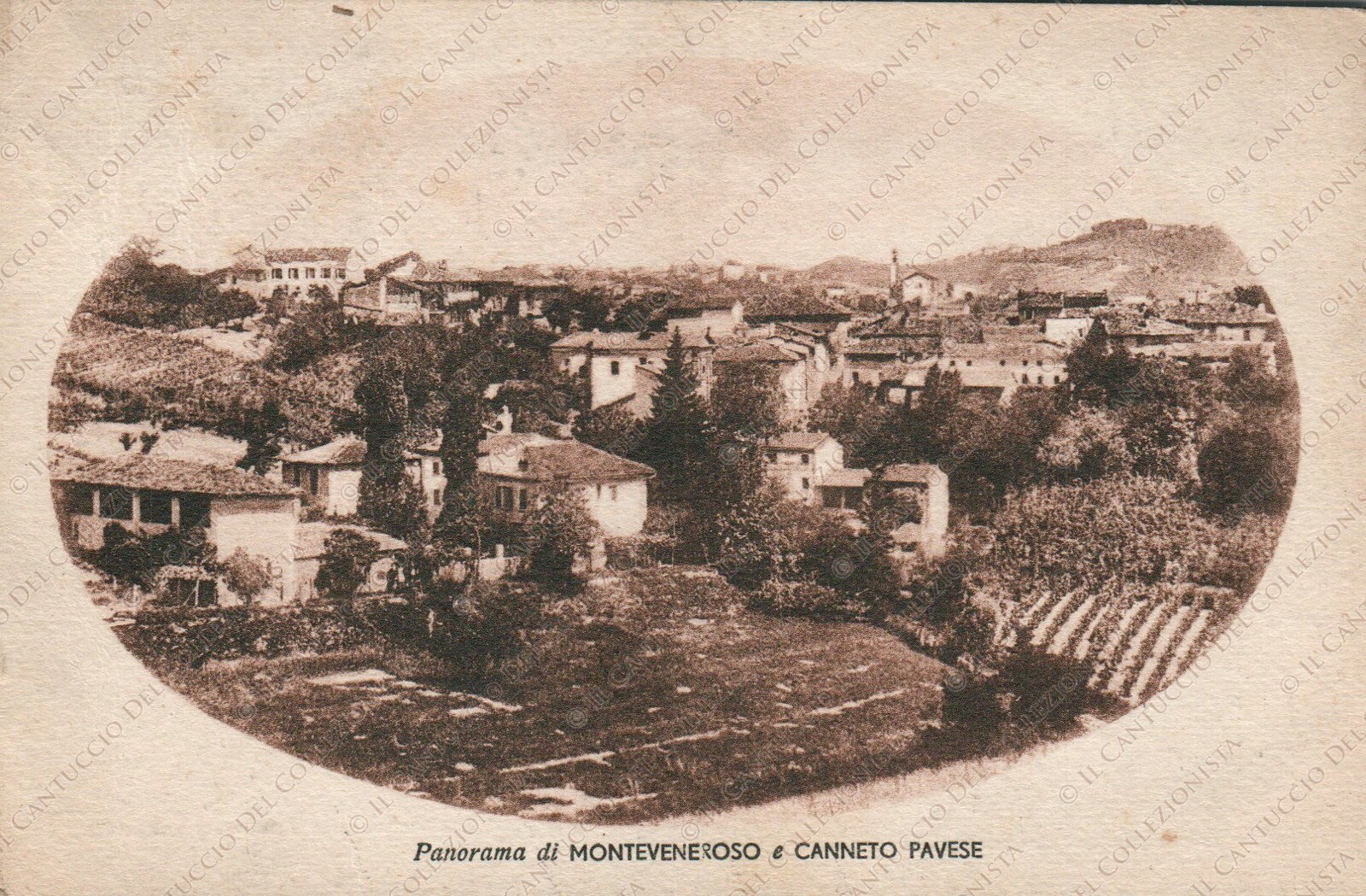 Foto 1 di 2