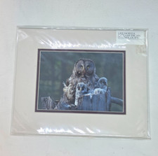 Vtg Barn Owl & Youngs Matted photo Andrew Paul Art Studios Wildlife Picture New