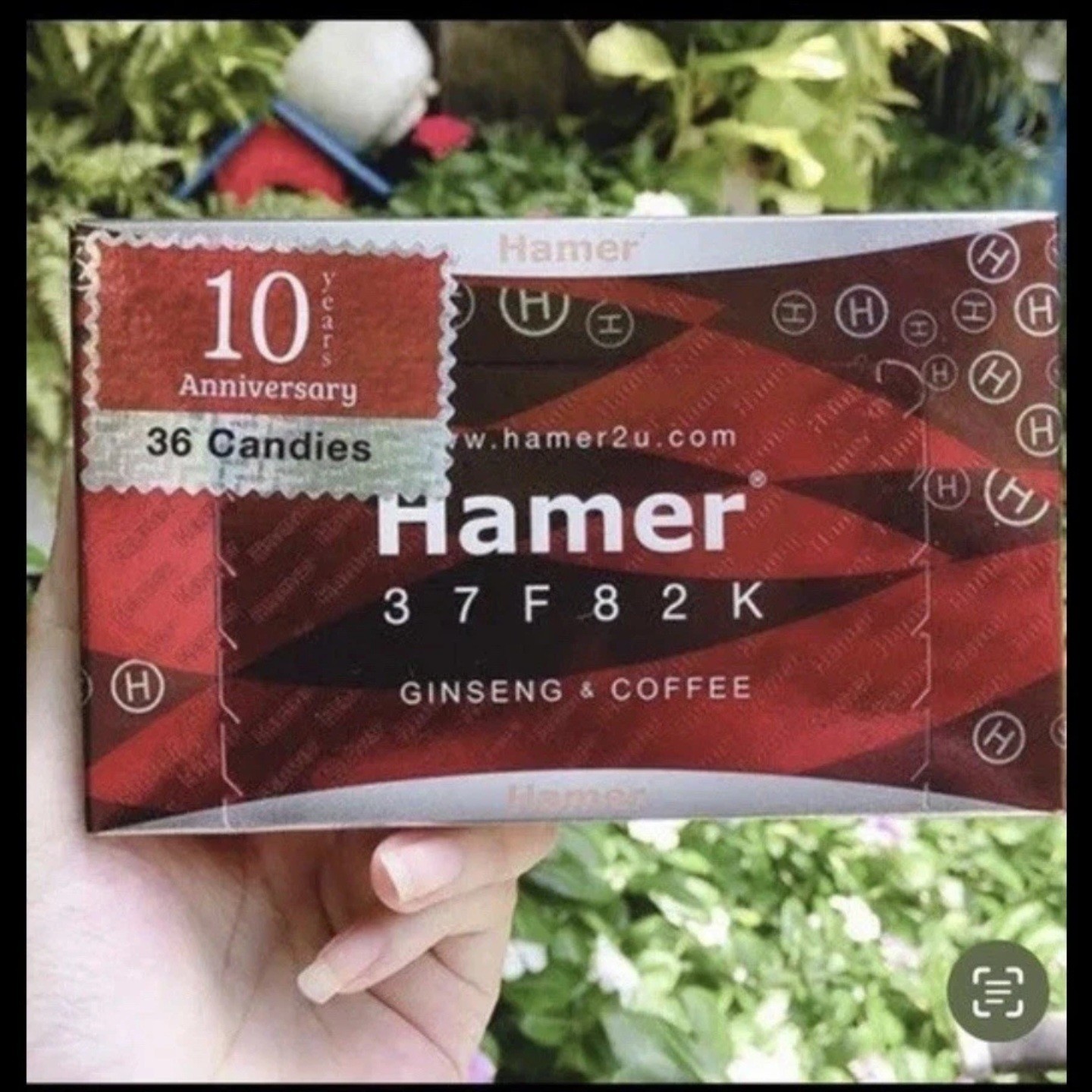 1 box 36pcCan dy, Gourmet Herbal Treat, Asian Coffee Snack, Sweet Gift 