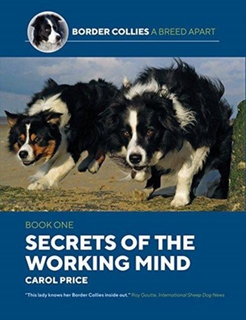 Secrets Of The Working Mind by Carol Price (Paperback Book)