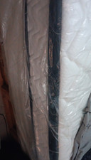 Sealy Response Essentials Queen Medium Innerspring Mattress White Edge Support