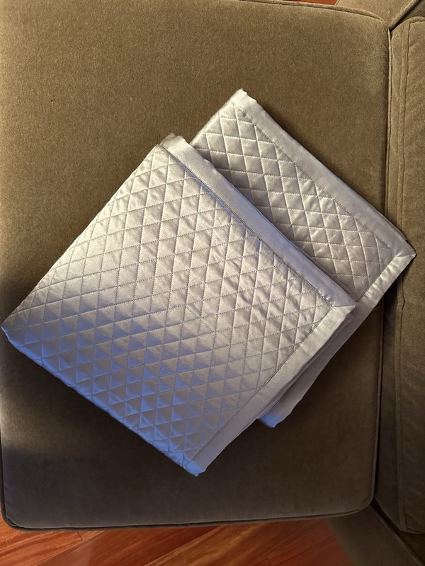 2 Ann Gish 100% Silk Charmeuse Quilted 26” X 26” Frost Shams-New w/o Tags