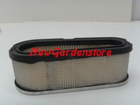 Luftfilter Motor RasenmäHer 8-11 Ps Briggs & Stratton 691667 192015