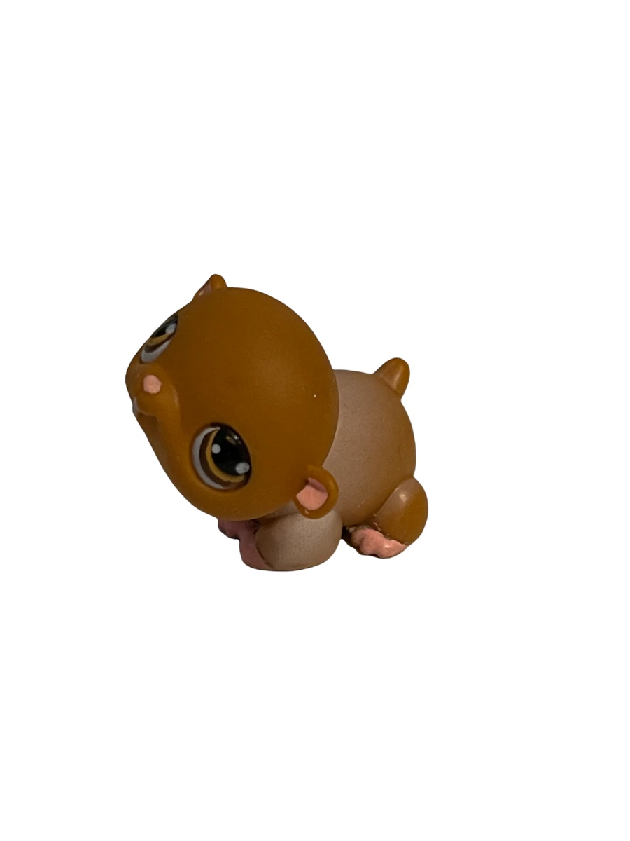 Lps hamster store