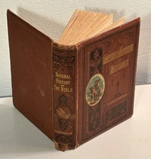 Natural History of the Bible Illustrated by MKM 1876 Animals/Birds in the Bible