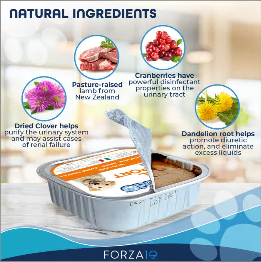 Receta de cordero Forza10 Nutraceutic ActiWet soporte renal comida húmeda para perros 3,5 oz x 32 piezas Foto 2 de 3