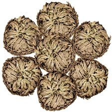 7 Pack Rose of Jericho Dried Plants - Rosa de Jerico Original, Brown