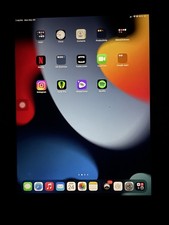 iPad Pro 10.5in Space Gray 64 GB WiFi/Cellular