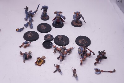 Warhammer 40K Space Marine Space Wolf Wulfen + Veteranen