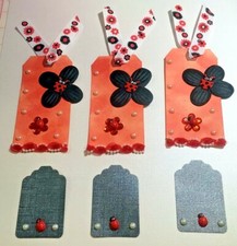 Ladybug Friend Tags Paper Piecing Scrapbook Mat Set- 5 Pieces 2