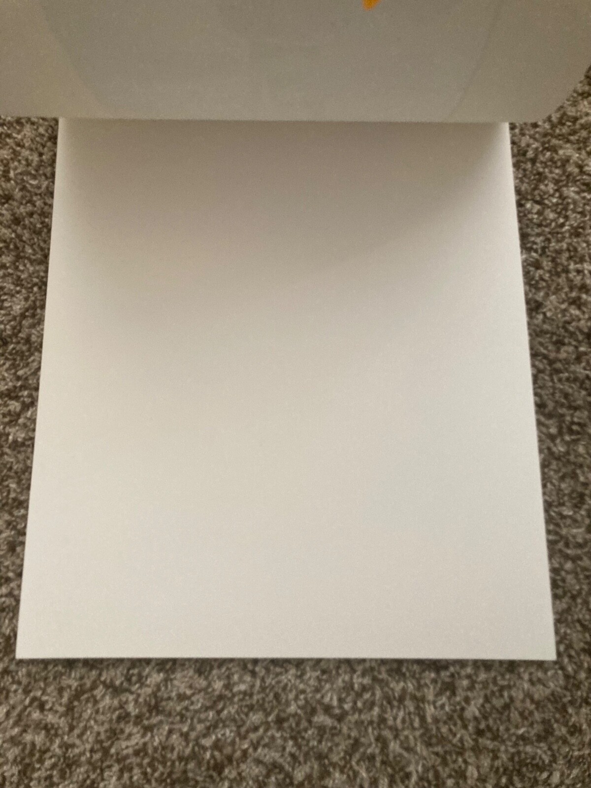 Picture 4 of 4
