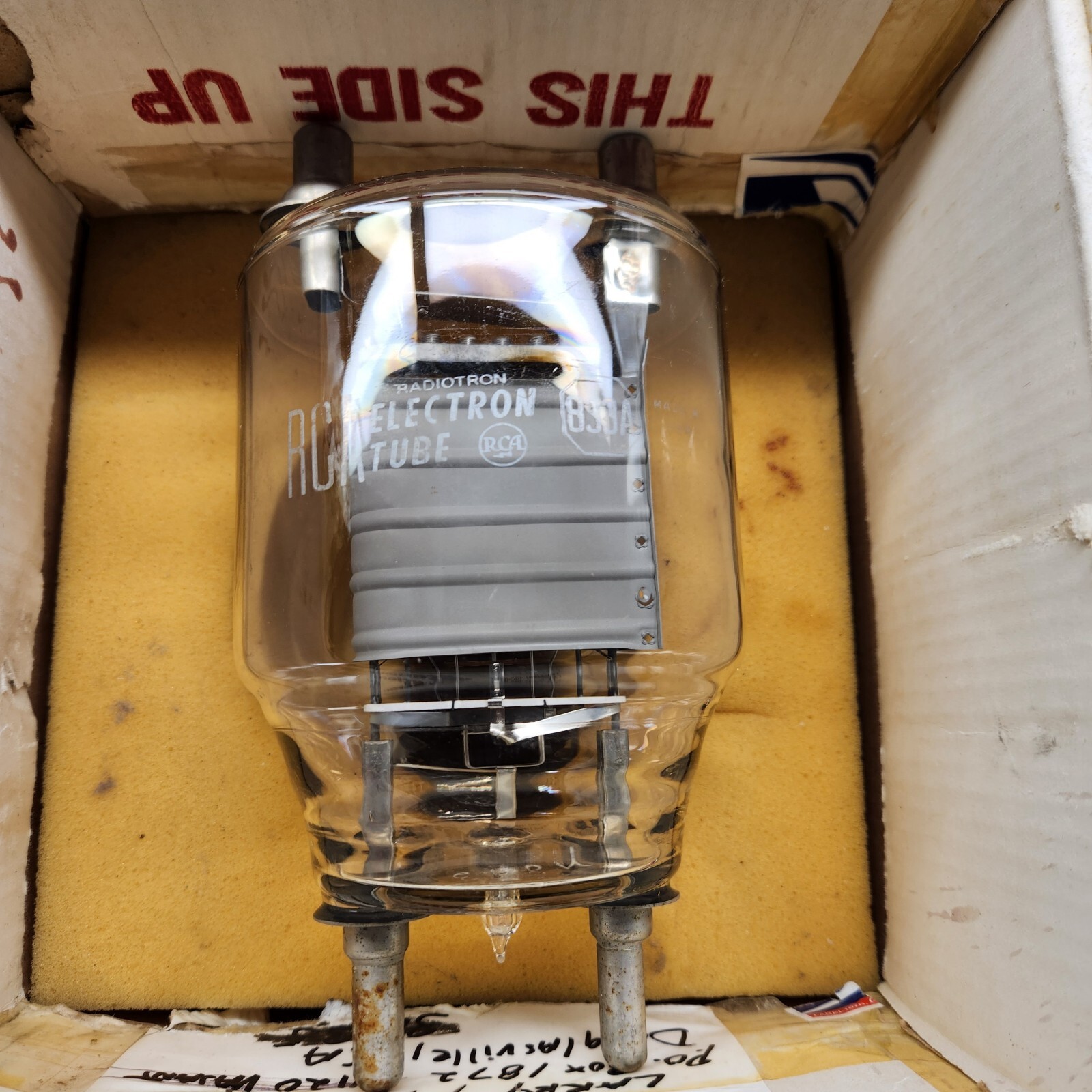 RCA Radiotron Electron Tube 833A HAM Radio Falak Tayyeb Platinum