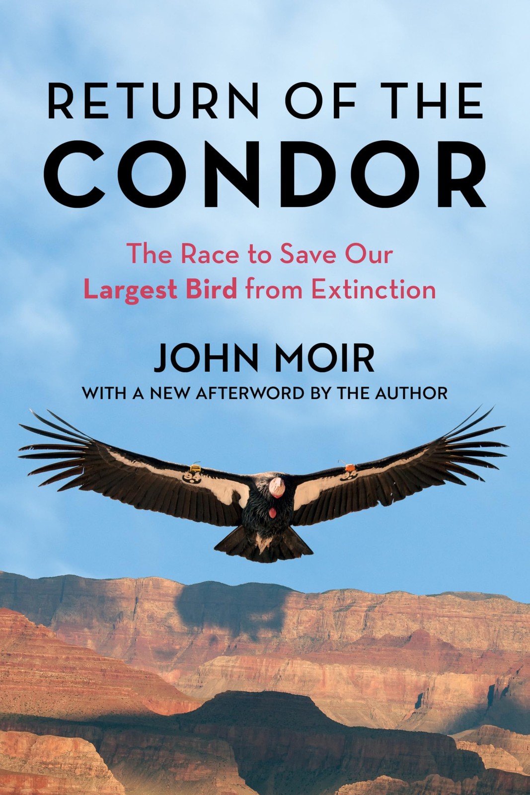 Return of the Condor: The Race to Save Our Largest Bird by John Moir (PB 2023) - Image 6