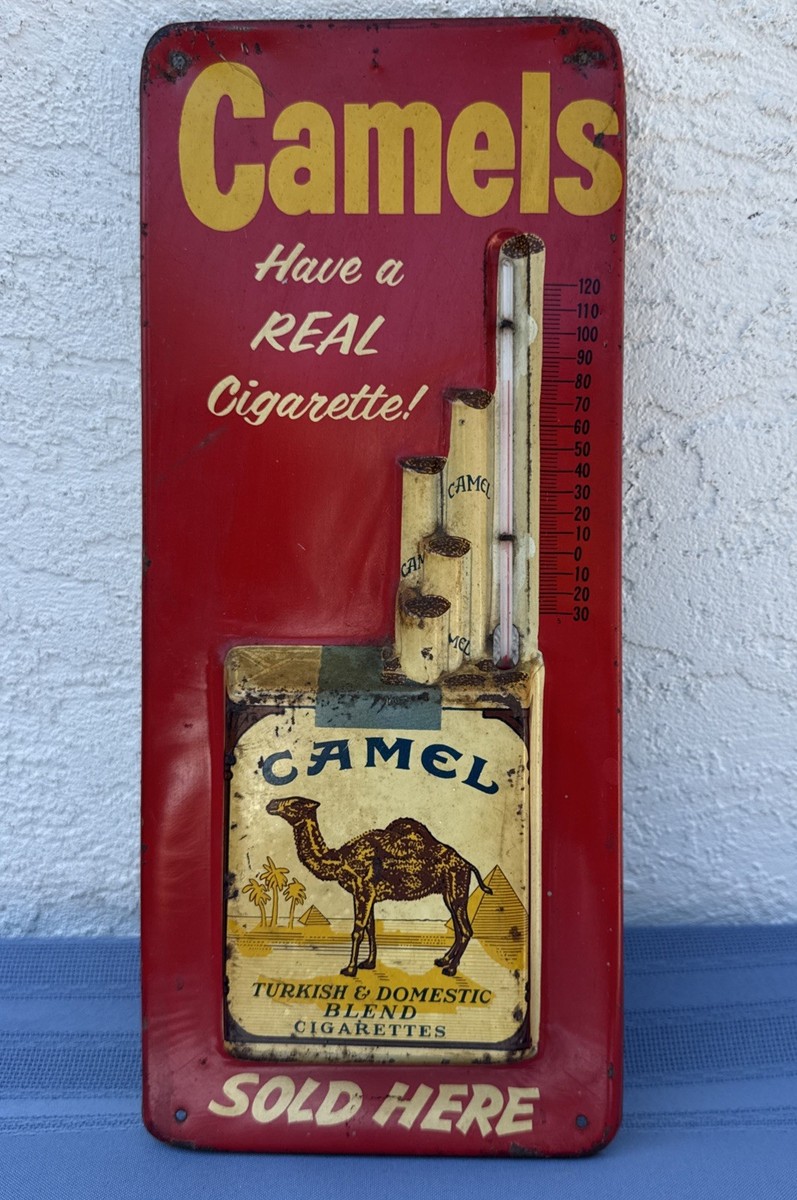 洋楽 Camel / Rajas RAJAZ Camel 🇬🇧 Rajaz (1999) is the thirteenth studio album by