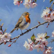 ACEO Art Card A Red Robin on a Cherry Tree Branch