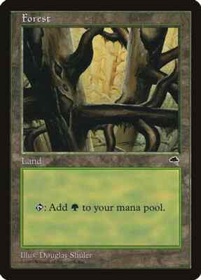Forest (Ledge) Tempest Light Play MTG Magic DNA GAMES