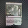 Verdant Catacombs Modern Horizons 2 Regular