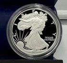 2023 S American Silver Eagle Gem Proof In Plastic Holder No Box