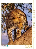 Calvendo Puzzle Leopard | 1000 Pieces, Finished Size 25.2 × 18.9 In (64 × 48 Cm)