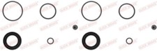 2 x Reparatursatz, Bremssattel Hinten für RENAULT SCÉNIC III ZOE