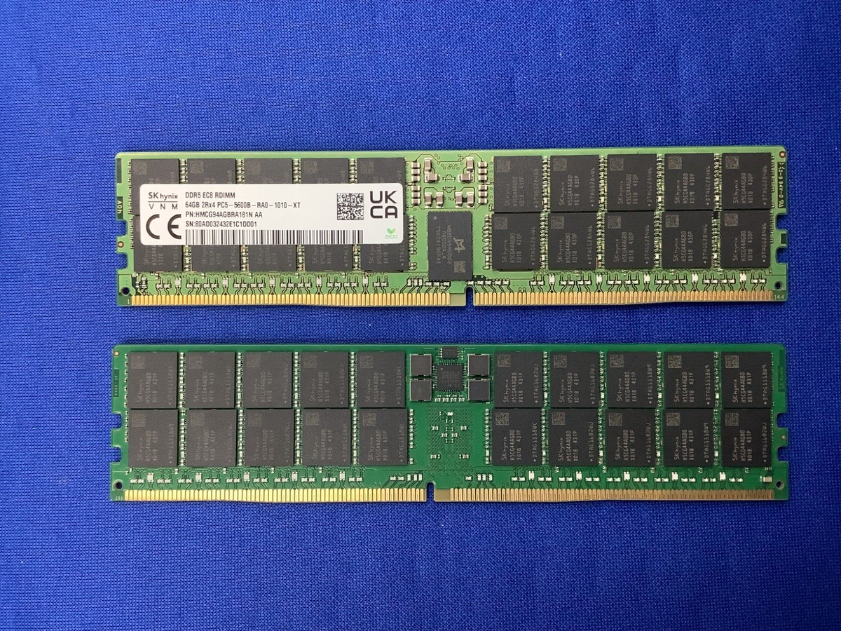 HMCG94AGBRA181N HYNIX 64G (1X64GB) 2RX4 PC5-5600B RDIMM MEMORY | eBay
