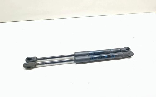 BMW 3 F30, F80 Vordere linke Motorhaubendämpfer 7239233 2.00 Diesel 33647090