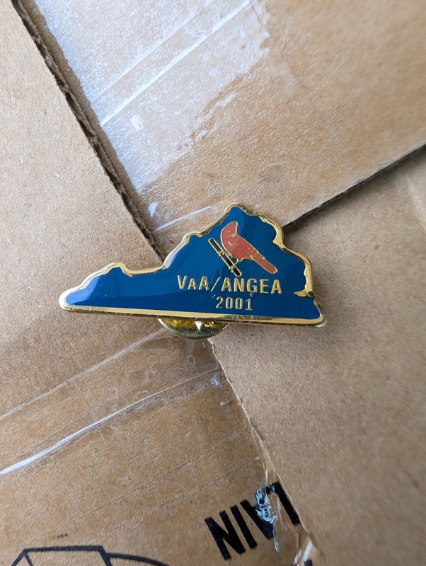 VA A/ ANGEA Association National Guard Lapel Pin / Resin-Coated / Virginia / D 