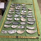 Lot of 38 Atlantic Oyster Shells 47/8 To 6 7/8 Inch Long Craft Art Collect￼ — photo 6