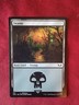 x1 Swamp (312)  MTG Commander: Universes Beyond: Warhammer 40,000 M/NM, English