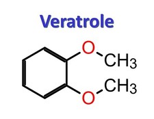 Veratrole, CAS 91-16-7
