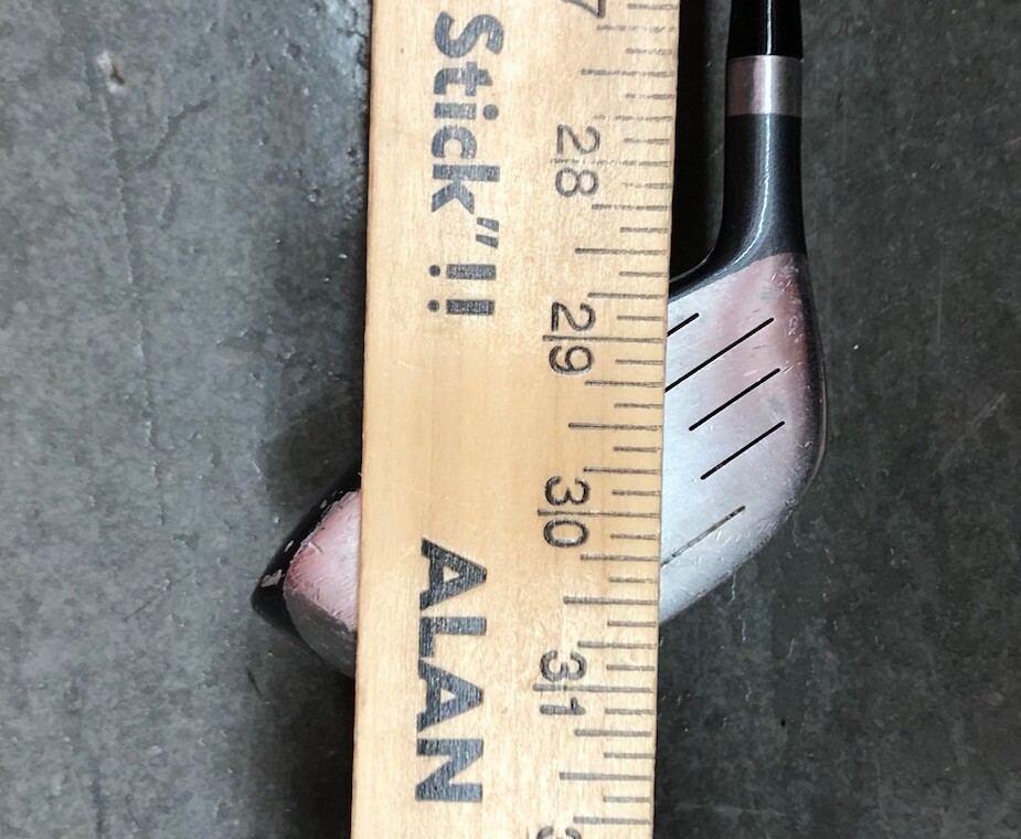 Picture 5 of 6