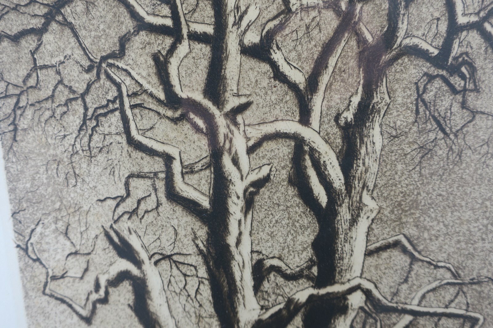 Picture 12 of 12