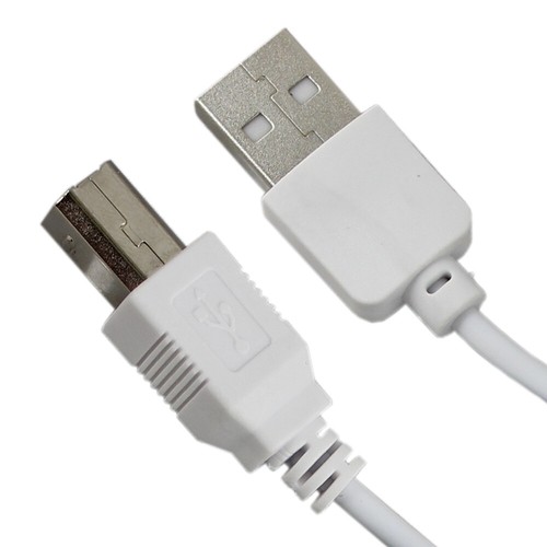 B2G1 Free NEW 3ft USB2.0 A Male to B Male Printer Scanner Cable Cord HOT! - Picture 4 of 4