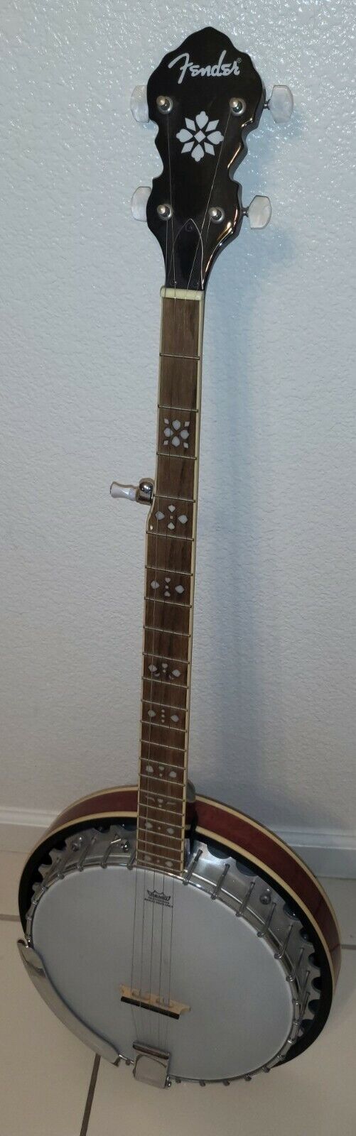 Fender 5 String Banjo